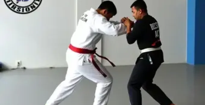 Ceasa-RJ artes marciais