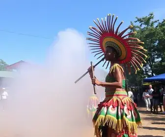 Festa do Pequi